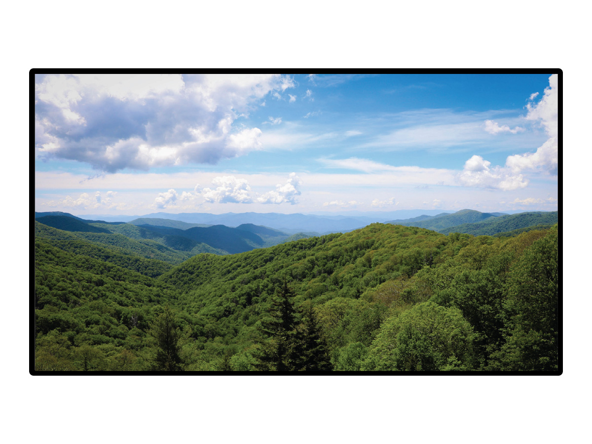 Hall Technologies HT-HV55 55in 4K 3840x2160 120Hz LED Signage Display 16:9 Stereo Speakers VESA