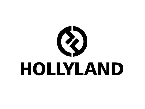 Hollyland HL-Monitor Cage Monitor Cage with Rubber Handgrips for 5 to 9 inches Monitors (Gold Mount)