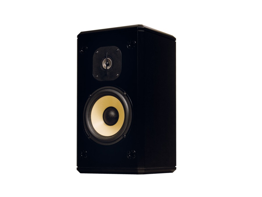 Induction Dynamics S2-BG Two-Way Single Loudspeaker (Black Gloss)