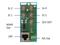 Apantac OG-Micro-4K-SET-1 openGear UHD/SDI Down Converter Card w Rear Module