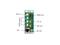 Apantac MiniDL-3 1 MODULAR Cascadable 4 input Multiviewer/3-HDMI/1-HDMI