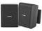 Bosch LB20-PC15-4D Quick Install Speaker 4 inch Cabinet 70/100V/Black/IP54 (Pair)