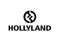 Hollyland HL-Monitor Cage Monitor Cage with Rubber Handgrips for 5 to 9 inches Monitors (Gold Mount)