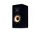 Induction Dynamics S2-BG Two-Way Single Loudspeaker (Black Gloss)